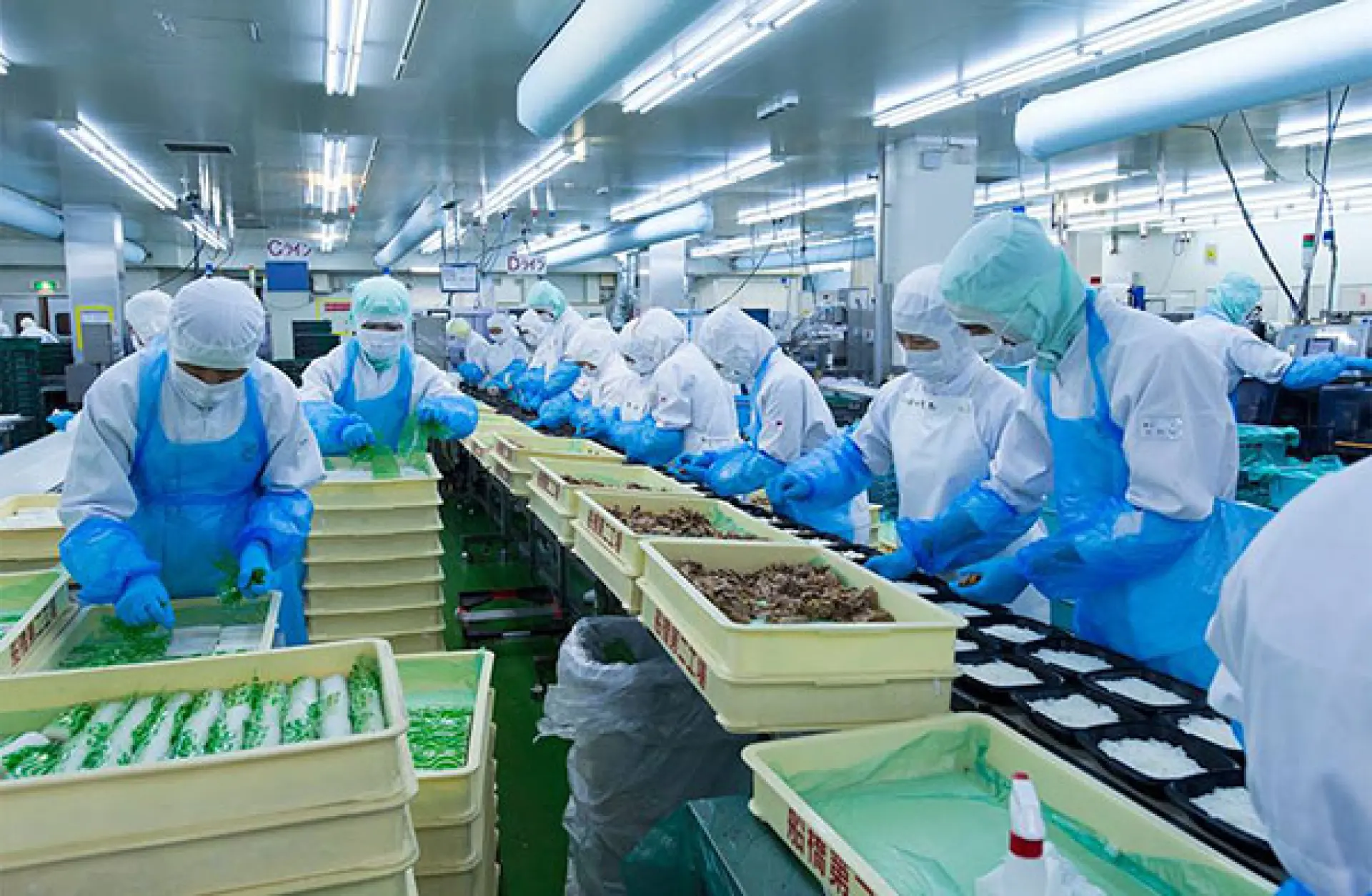 Tuyển 2 Nam sản xuất thực phẩm
