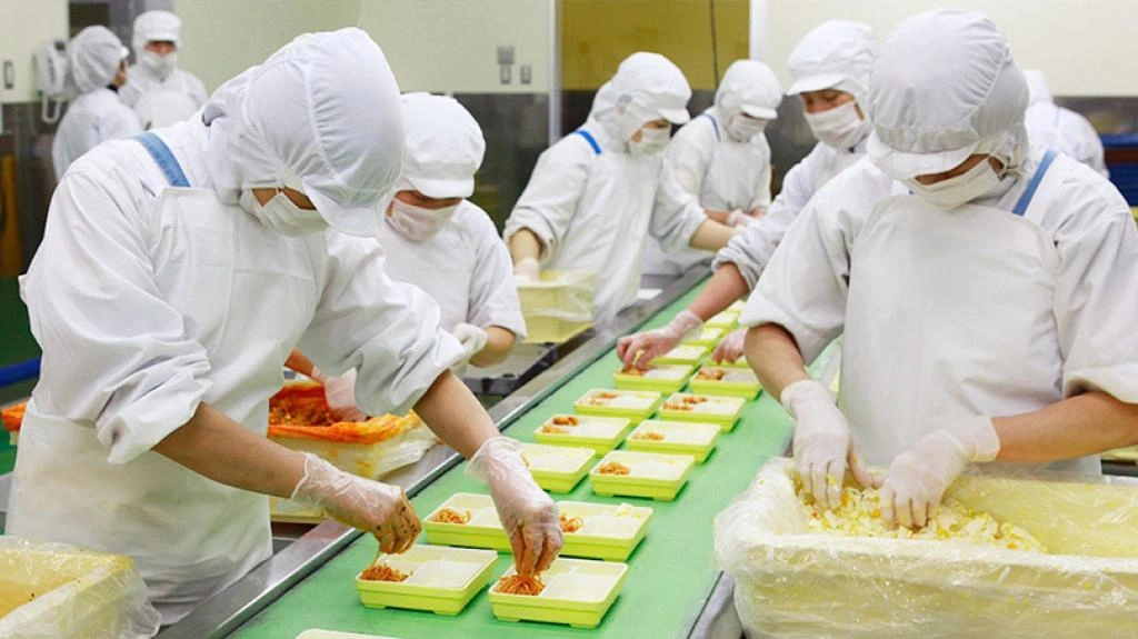 Tuyển gấp 15 nữ làm chế biến, đóng cơm hộp tại Nhật Bản